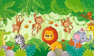 热带雨林代表动物有哪些